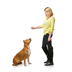 Image showing Girl with amstaff dog