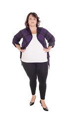 Image showing Full figured woman standing in tights