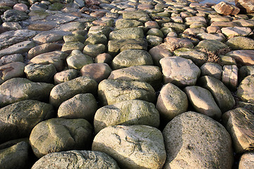 Image showing Stones at the Øresund at Kronborg Castle