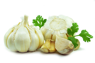 Image showing Isolated garlic and clove 
