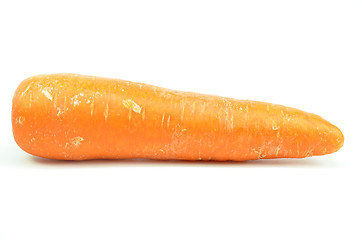 Image showing Whole orange carrot isolated