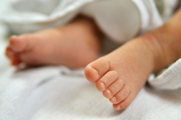 Image showing Cute baby feet