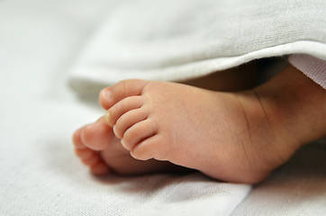 Image showing Cute baby feet