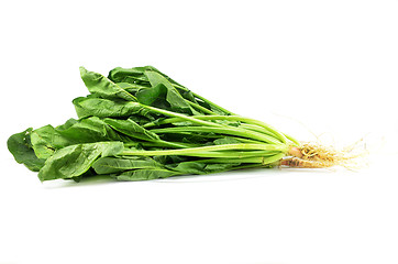 Image showing Fresh bunch of spinach