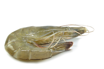 Image showing Raw fresh shrimp