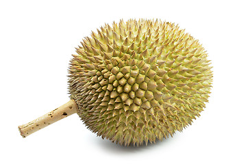 Image showing Fresh durian on isolate white background