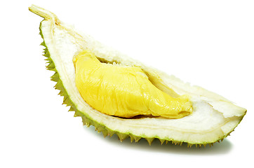 Image showing Durian fresh isolated