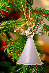 Image showing Toy glass angel decoration on the xmas tree