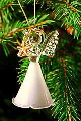 Image showing Toy glass angel decoration on the xmas tree