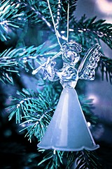 Image showing Toy glass angel decoration on the xmas tree