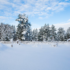 Image showing Snow-covered landscape in the countryside