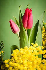 Image showing Spring bouquet with tulip and mimosa