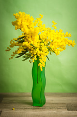 Image showing Spring bouquet of mimosa in a green vase