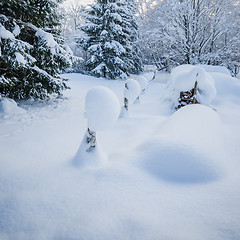 Image showing Snow-covered landscape in the countryside