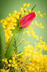 Image showing Spring bouquet