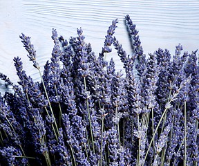 Image showing Frame of Lavender Flowers