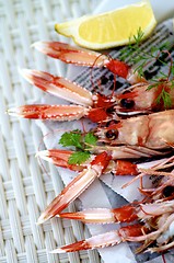 Image showing Delicious Grilled Langoustines 