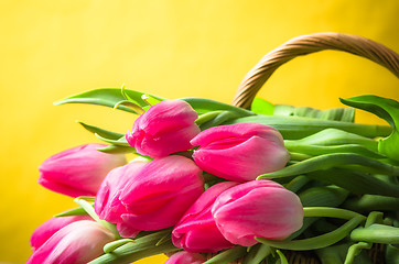 Image showing Beautiful bouquet of pink tulips in a wicker basket