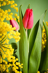 Image showing Spring bouquet with tulip and mimosa