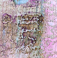 Image showing Cement Wall Background 