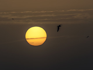 Image showing Winter Solstice Sunset