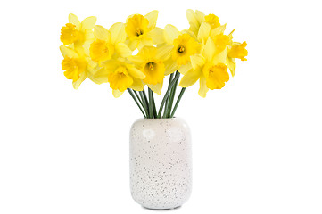 Image showing bouquet of yellow Daffodils isolated on white background