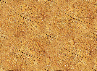 Image showing Cross section of trunk as a seamless wooden background