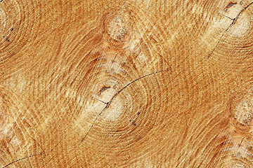 Image showing Cross section of trunk as a seamless wooden background