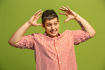 Image showing Beautiful male half-length portrait isolated on blue studio backgroud. The young emotional surprised man