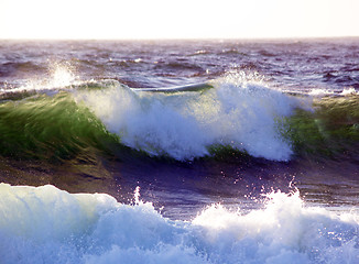 Image showing Wave breaking with sunlight coming through from behind