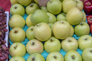 Image showing Green Apples