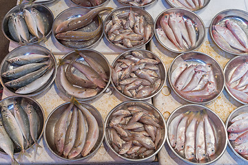 Image showing Fish in Trays