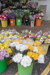 Image showing Fresh Flowers