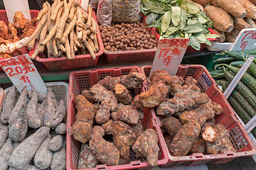 Image showing Roots Vegetables