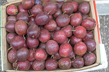 Image showing Passion Fruit