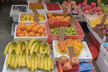 Image showing Bananas and Oranges