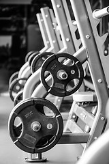 Image showing Modern gym interior with bench press equipment in a raw