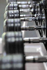 Image showing Row of dumbbells in gym