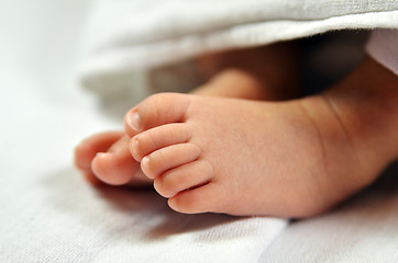 Image showing Cute baby feet