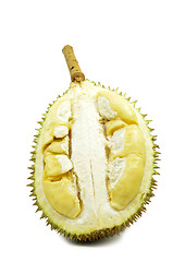 Image showing Durian fresh isolated