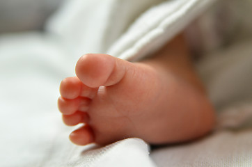 Image showing Cute baby feet