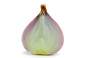 Image showing Salad shallot isolated