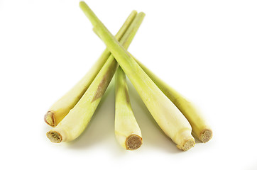 Image showing Fresh lemon grass