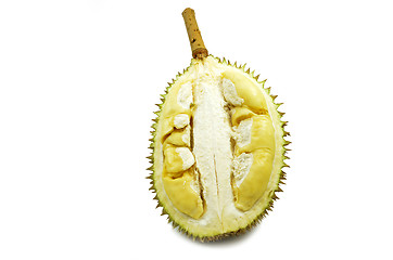 Image showing Durian fresh isolated 