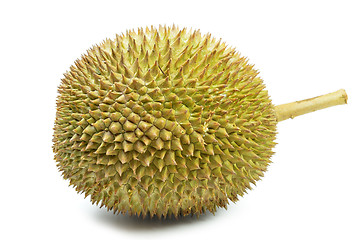 Image showing Fresh durian on isolate white background