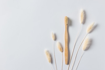 Image showing Wooden toothbrush and grass ears