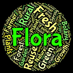 Image showing Flora Word Represents Plant Life And Area