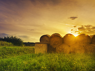 Image showing Hay Bales