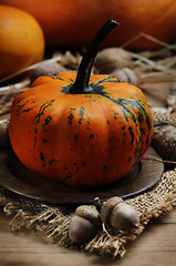 Image showing Pumpkin