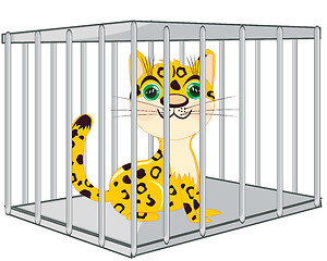 Image showing Vector illustration animal leopard locked in steel hutch
